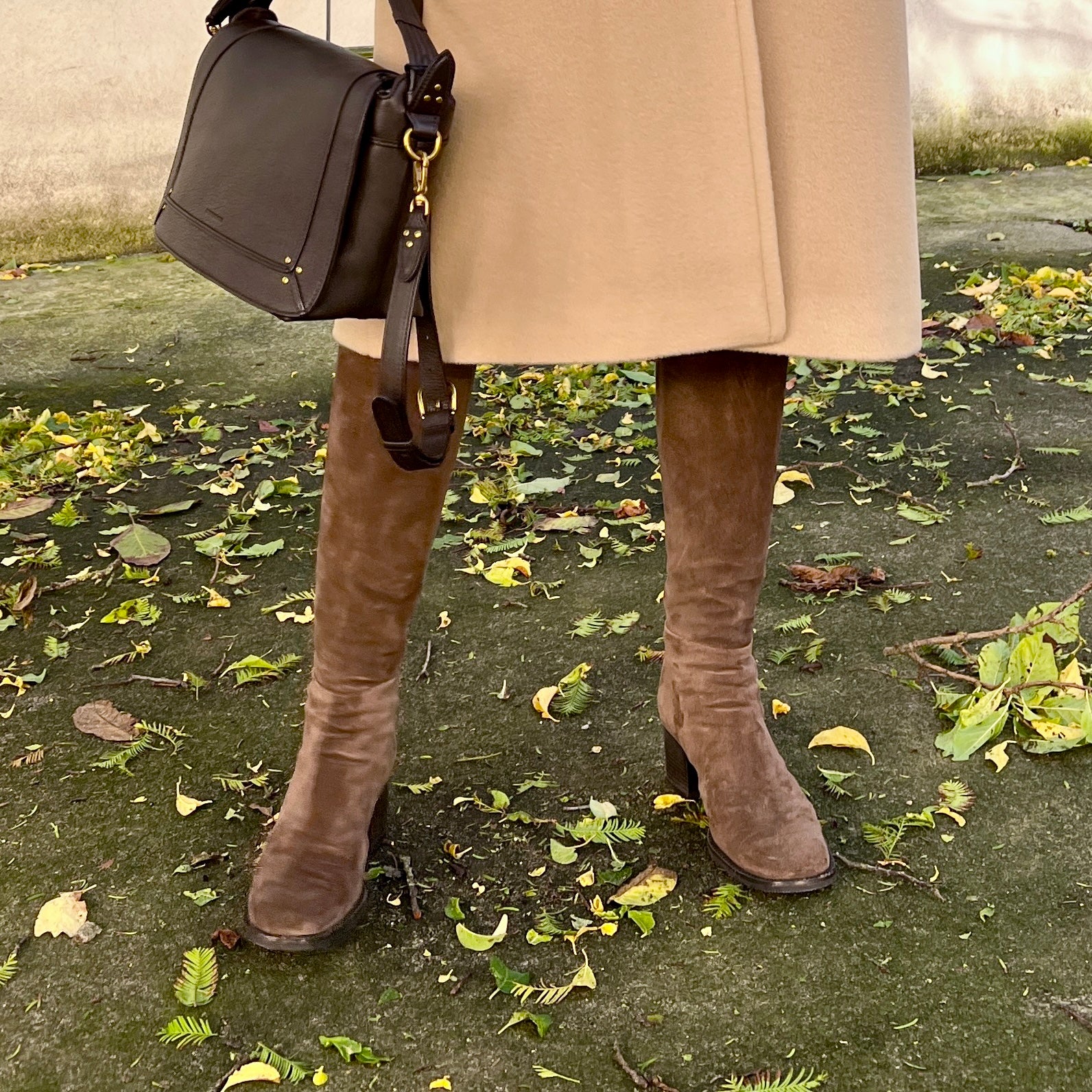 Alberto Fasciani Karina 95002 Sensual Chocolate