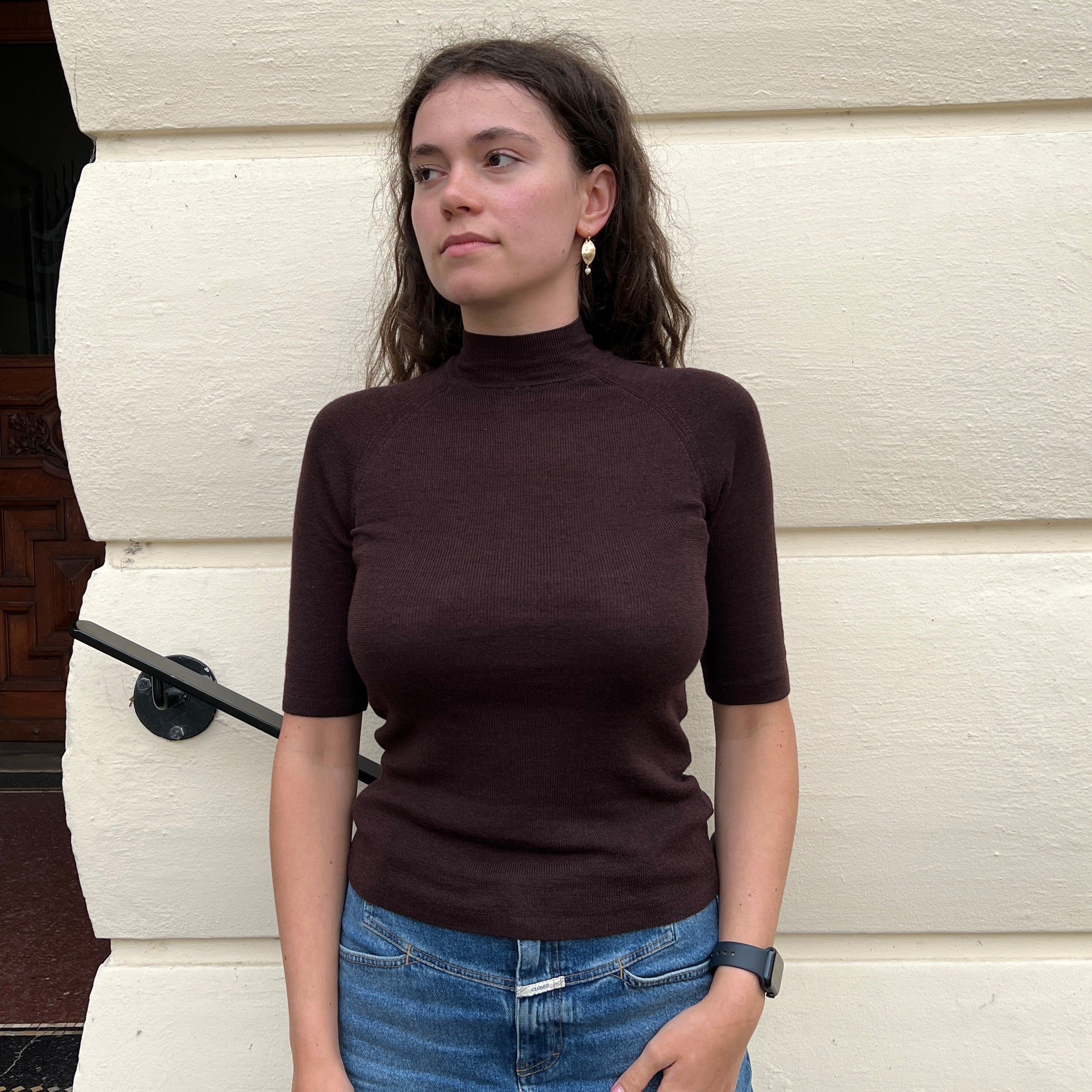 Majestic Filatures Merino/Silke Top